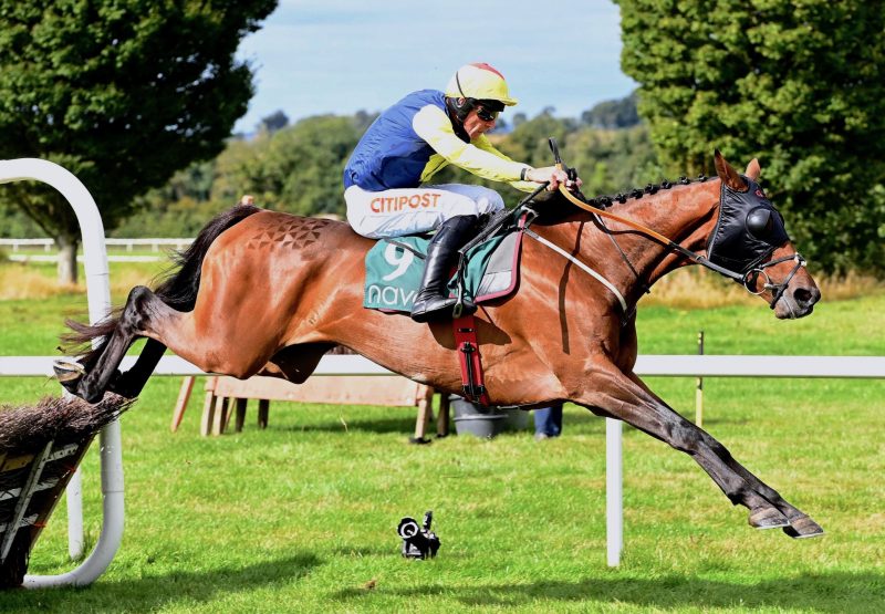 Pats Choice (Getaway) Wins His Maiden Hurdle At Navan