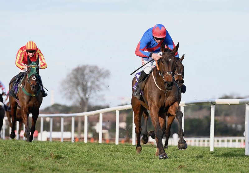 The Goffer (Yeats) Wins The Grade A Bulmers Leopardstown Handicap Chase