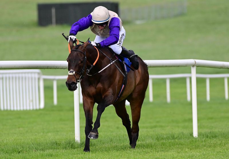 Cottie (Yeats) Wins The Mares Maiden Hurdle At Clonmel