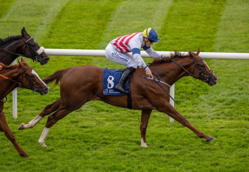 Bright Stripes (Starspangledbanner) Wins His Maiden At Naas