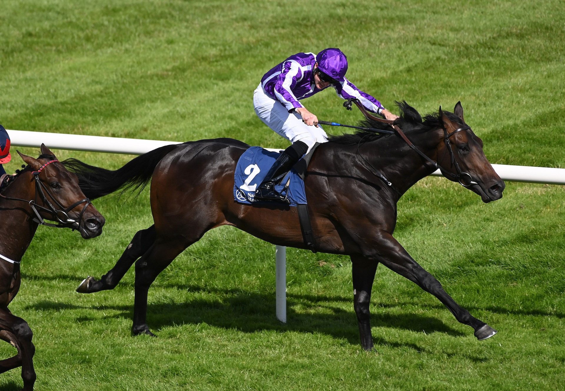 Henry Adams (No Nay Never) Wins On Debut at Naas