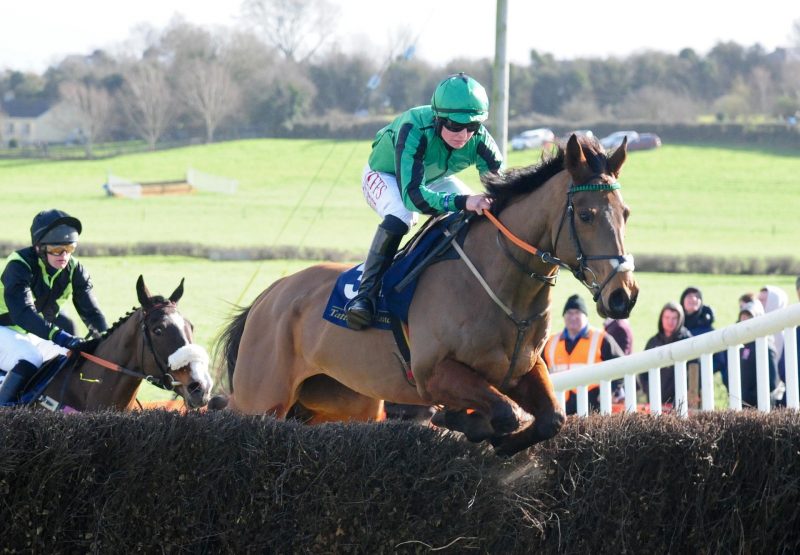 Young Buck Becomes The Latest Winner By Yeats When Winning On Debut At Nenagh