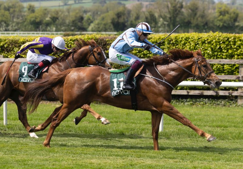 Parting Glass (Starspangledbanner) Wins His Maiden At Navan