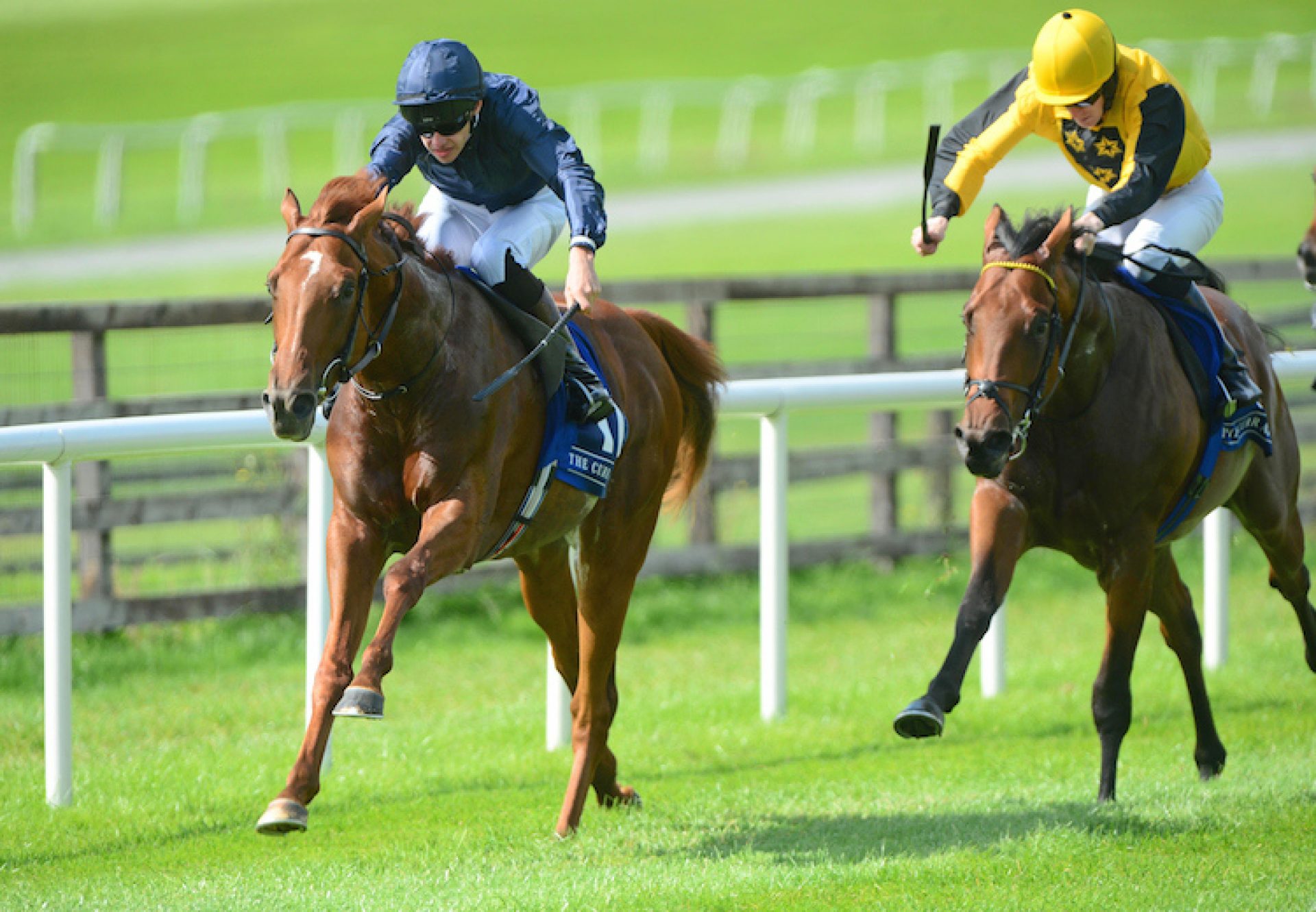 Sydney Opera House (Australia) winning a maiden at the Curragh