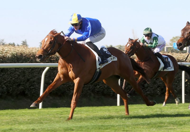 Classic Flower (Calyx) Winning At Salon De Provence