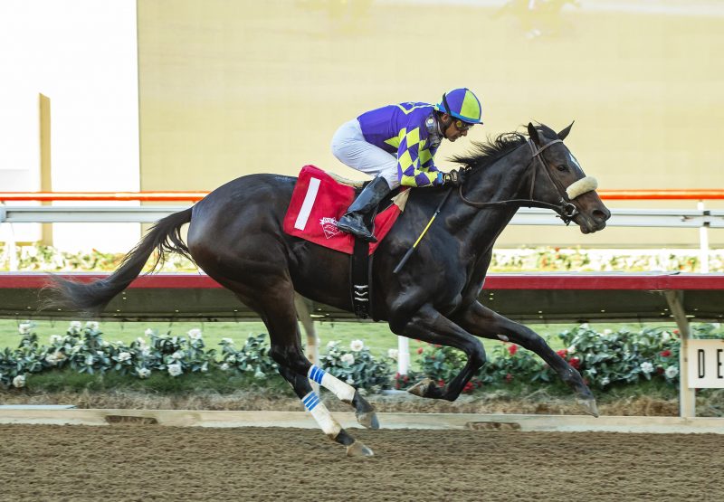 Justique (Justify) Wins Listed Desi Arnaz Stakes at Del Mar