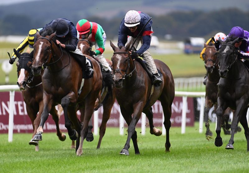 Above The Curve (American Pharoah) Wins Gr 2 Blandford Stakes at the Curragh