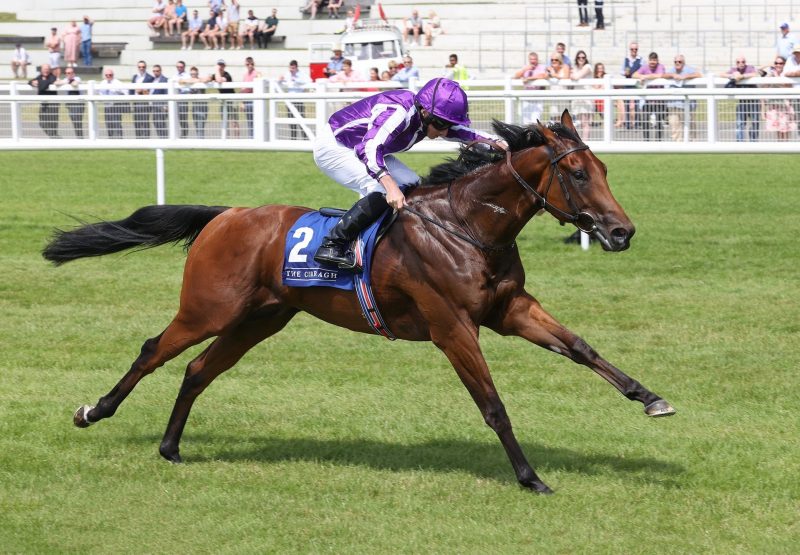 Little Big Bear (No Nay Never) Impresses In The Group 3 Anglesey Stakes at the Curragh