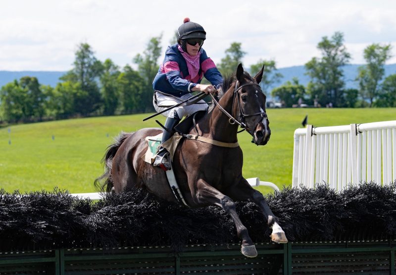 Zoom Zoom Zoe (Leading Light) Wins The Maiden Hurdle At Middleburg