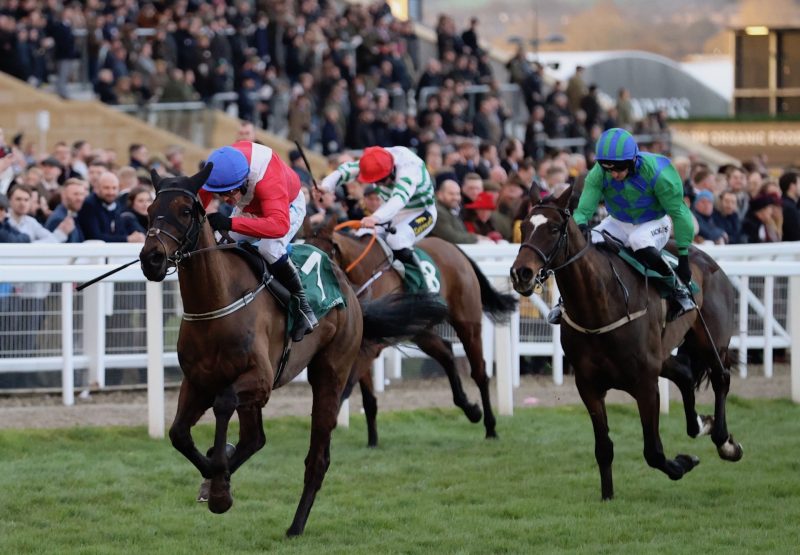 Ferny Hollow (Westerner) wins the Gr.1 Champion Bumper at Cheltenham