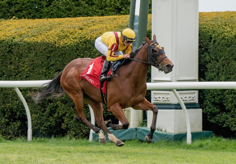 Love Reigns (U S Navy Flag) Makes An Impressive Debut At Keeneland