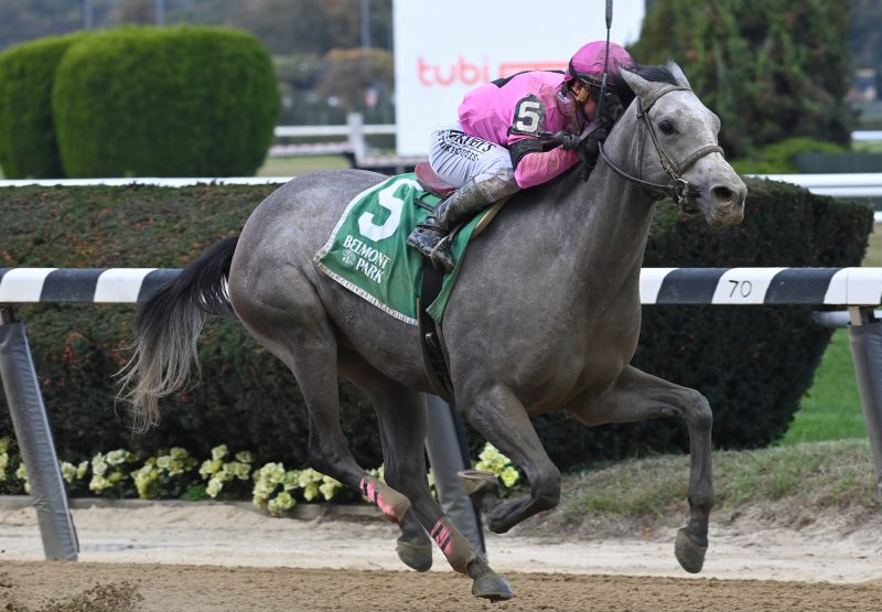 Cupid's Heart (Cupid) winning a MSW at Belmont Park