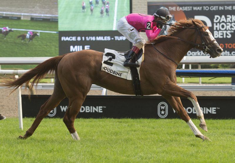 God Of Love (Cupid) wins the Cup And Saucer Stakes at Woodbine