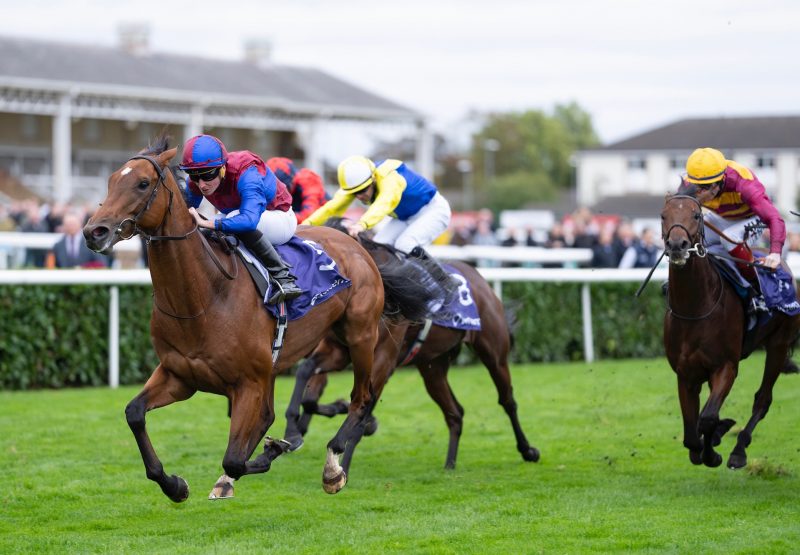 Luxembourg (Camelot) Lands The Group 1 Vertem Futurity Trophy Stakes at Doncaster