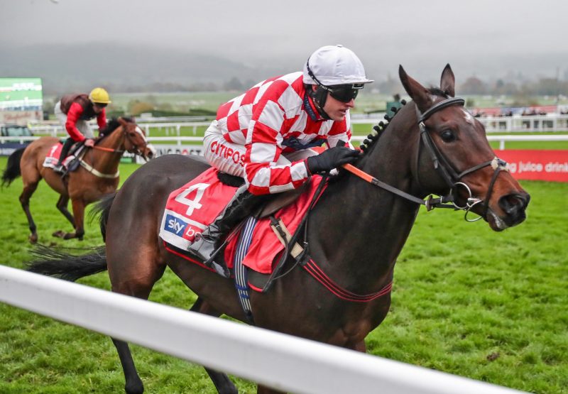 Hang In There (Yeats) Wins The Grade 2 Supreme Novices Trial at Cheltenham