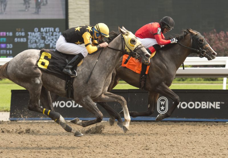 Feelthebeat (Cupid) Wins At Woodbine