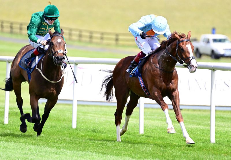 Hadman (Starspangledbanner) Wins The Irish Ebf Median Sires Series Race At Naas