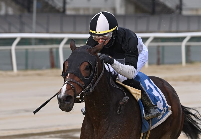 Sharp Starr (Munnings) Wins Gr.3 Go For Wand Handicap at Aqueduct