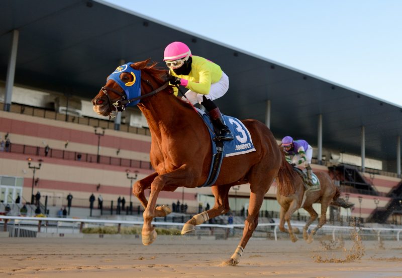 Petes Play Call (Munnings) Wins The Listed Gravesend at Aqueduct