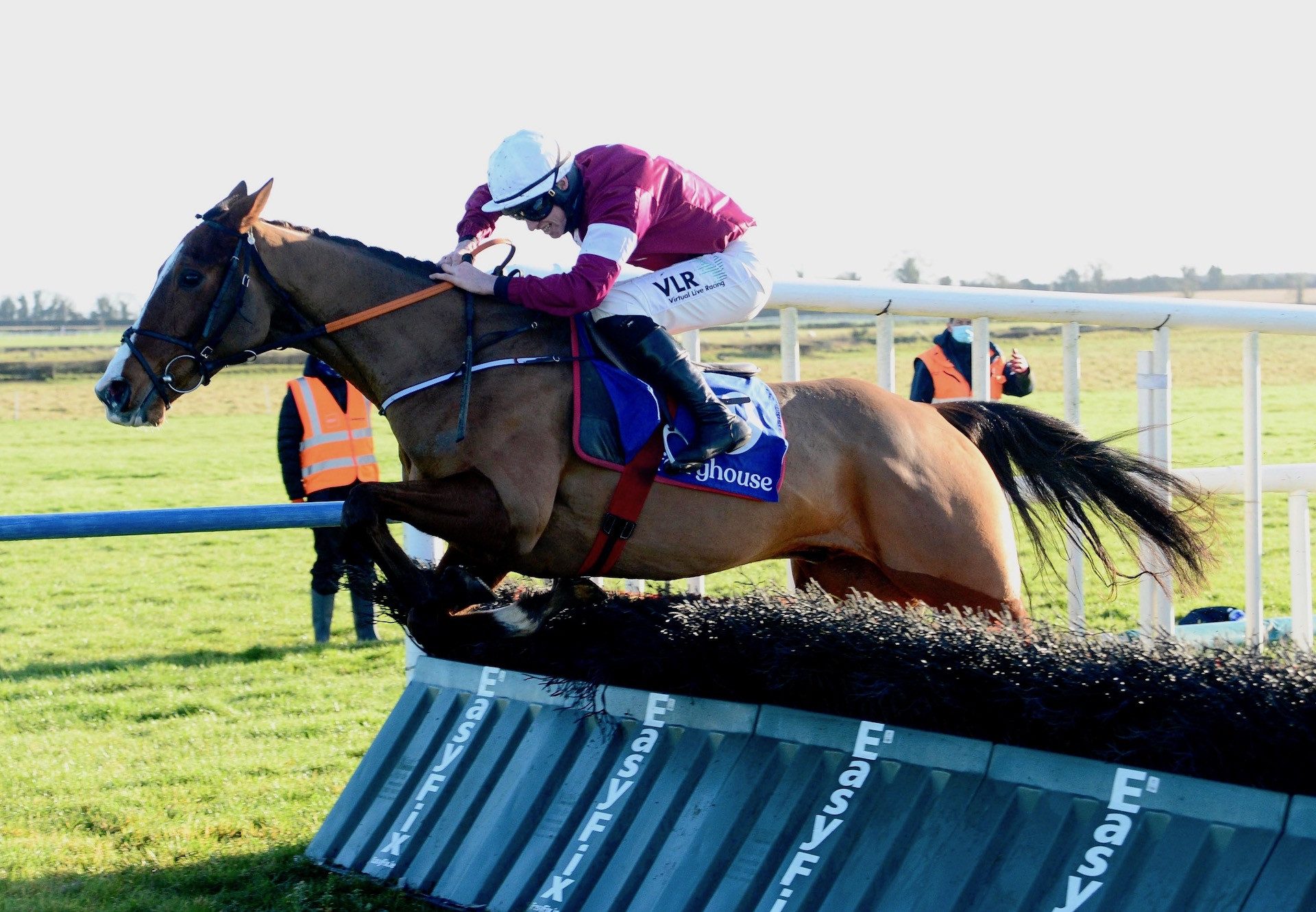 Torygraph (Mahler) Wins The Maiden Hurdle At Fairyhouse