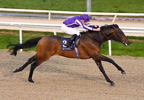 Broadhurst (No Nay Never) Wins His Maiden At Dundalk