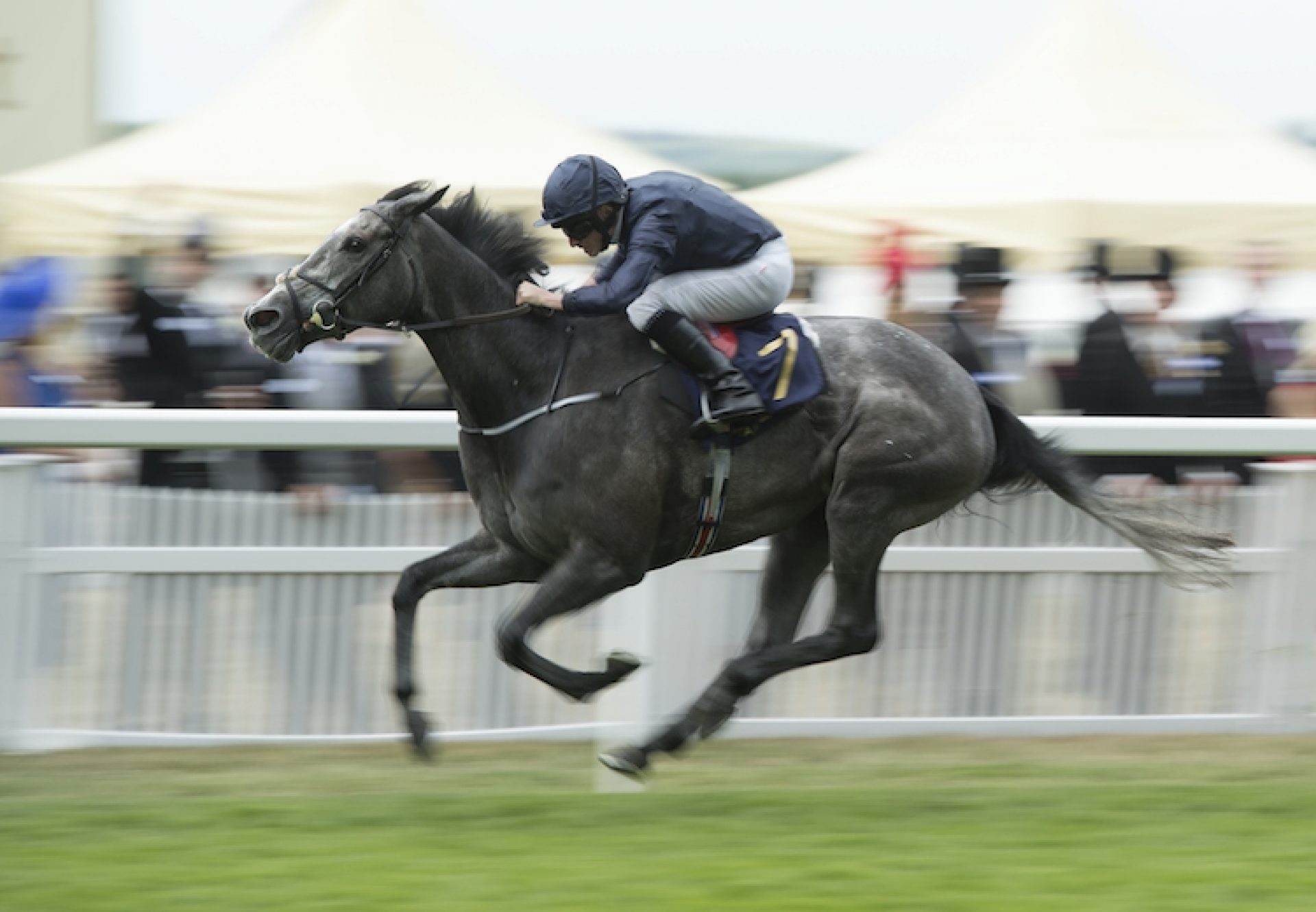 Winter (Galileo) winning the Coronation Stakes at Royal Ascot