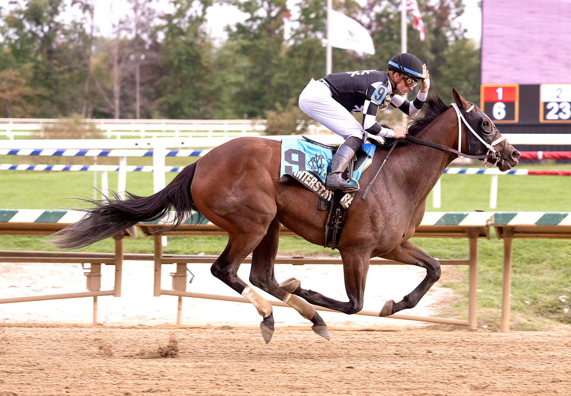 Interstatedaydream (Classic Empire) Wins the Twixt Stakes at Laurel Park