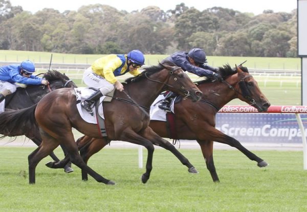 Long Leaf (Fastnet Rock) winning the Listed MRC Merson Cooper Stakes at Sandown
