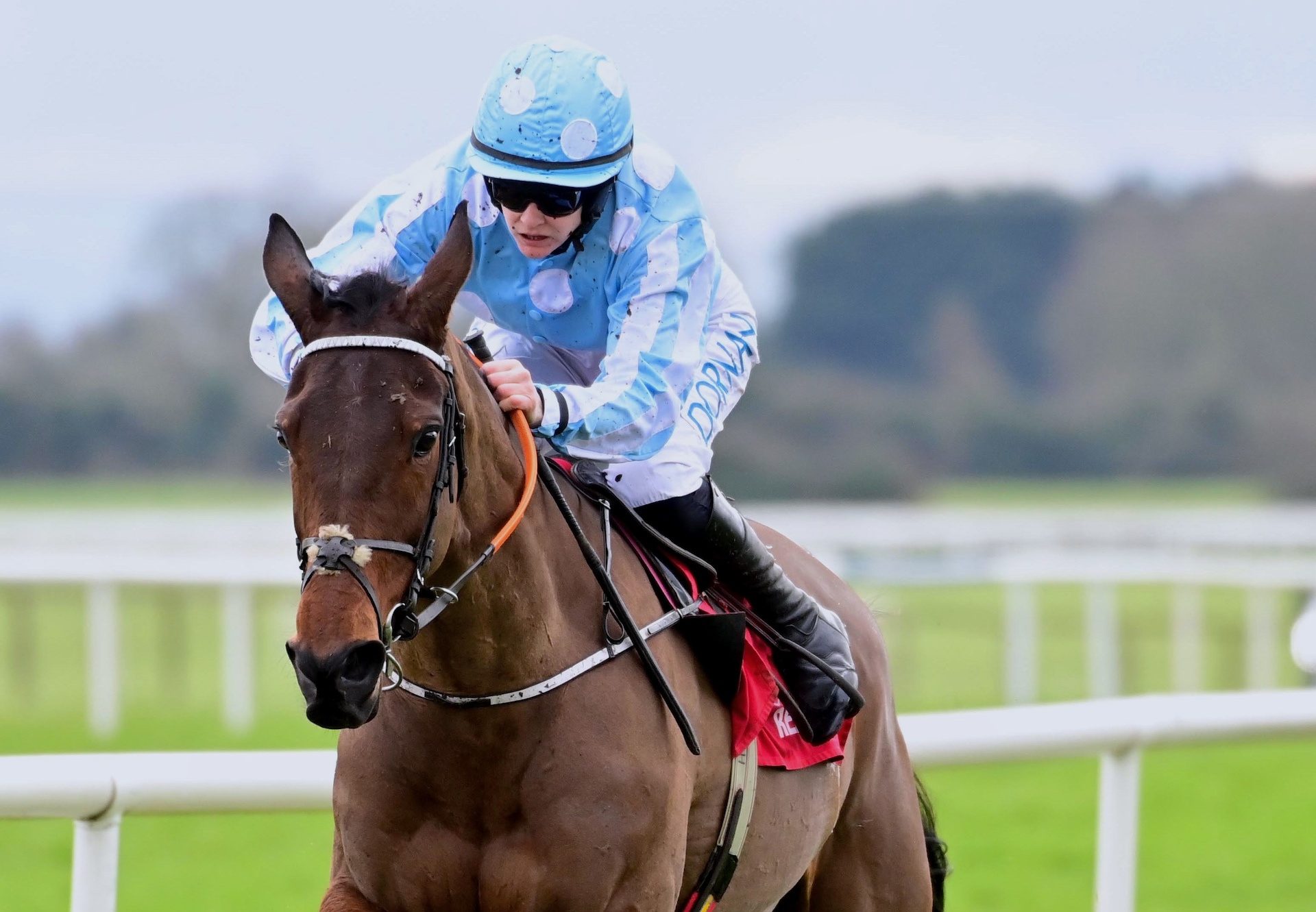 Theatre Native (Getaway) Wins Her Maiden Hurdle At Fairyhouse