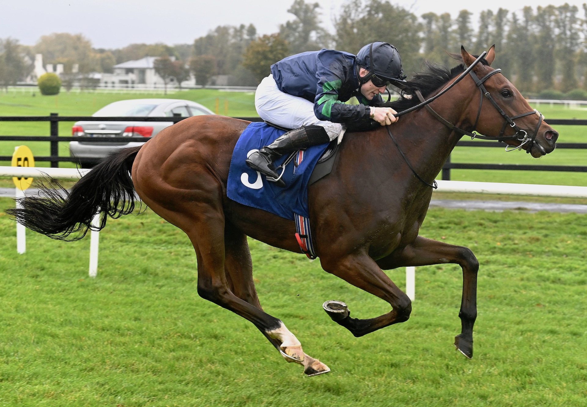 Naval Force (Churchill) Wins On Debut At Killarney