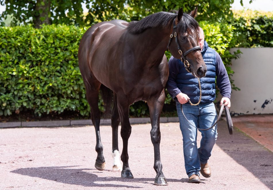 Happily (Galileo) winning the G1 Moyglare Stud Stakes at the Curragh