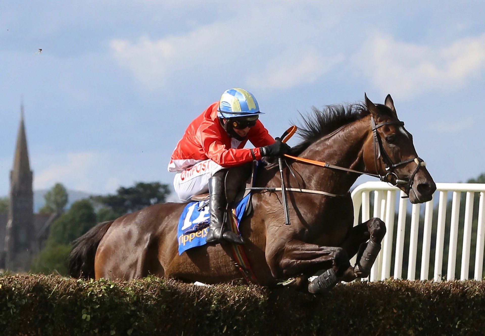 Janeymac (Milan) winning a Beginners Chase at Tipperary