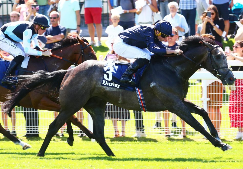 Elle Memory (Maxios) winning the Preis Dusseldorf