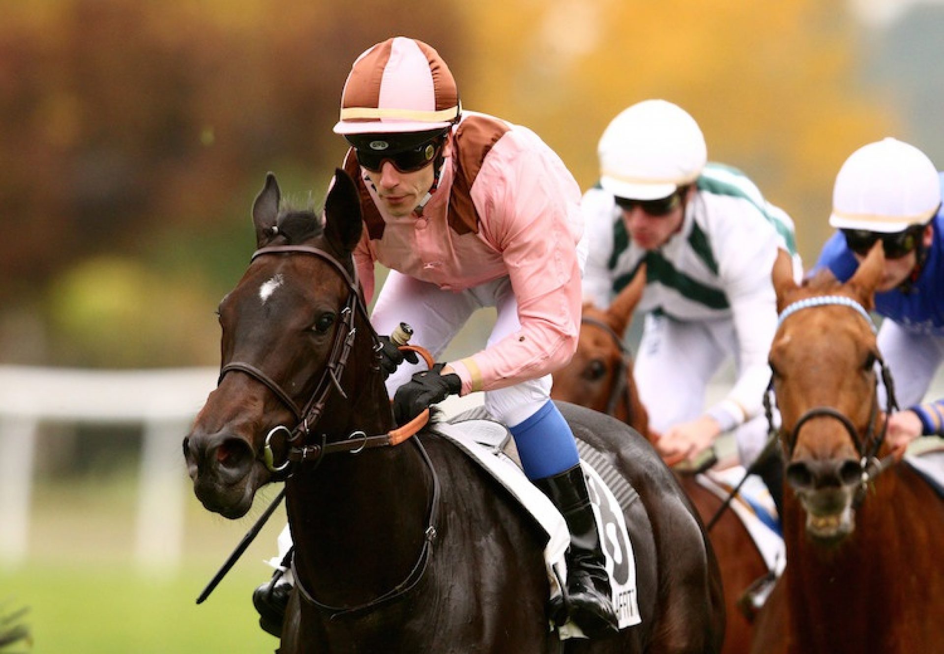 Pas De Soucis (Footstepsinthesand) winning the Listed Prix de Saint-Cyr