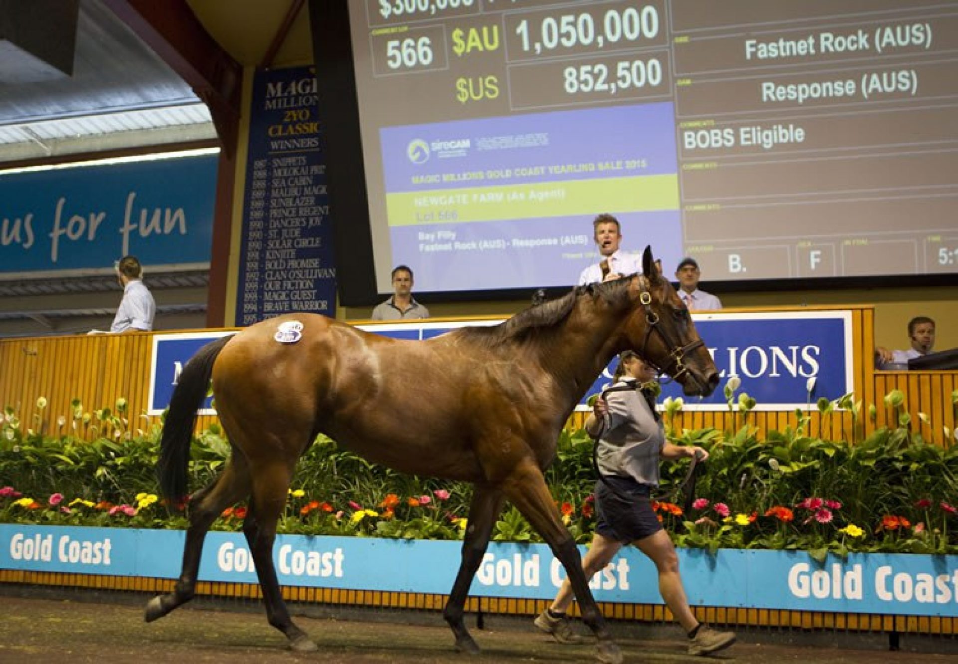 Lot566 Fastnet Rock x Response