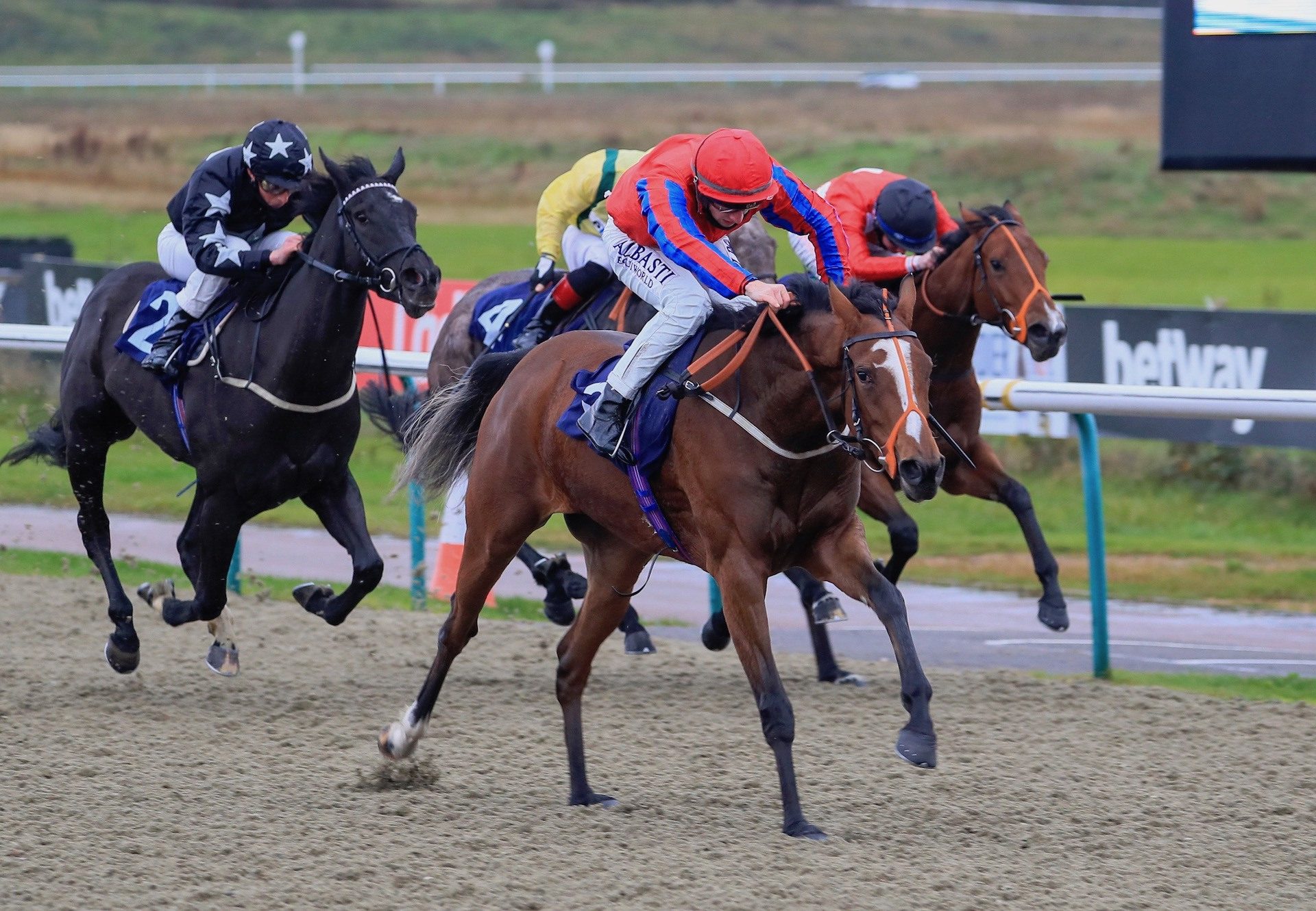 Invite (The Gurkha) Wins On Debut At Lingfield