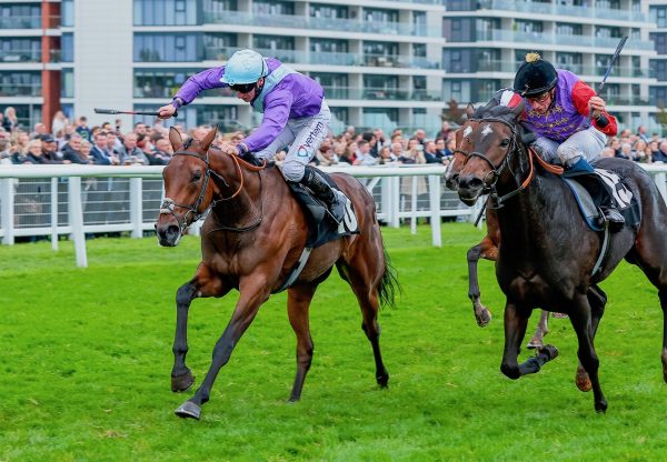 Opera Forever (No Nay Never) Gets Off The Mark At Newbury