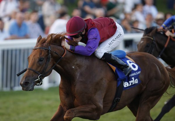 Shamalgan (Footstepsinthesand) winning the G2 Oettingen-Rennen at Baden Baden