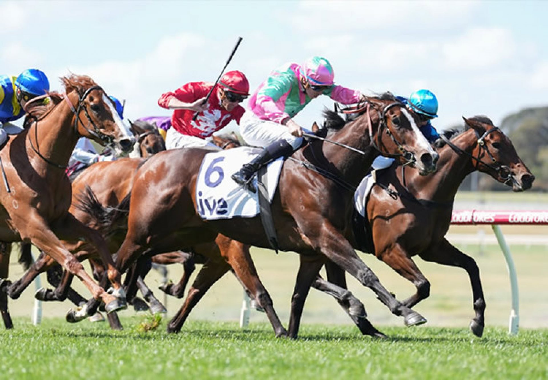 Carina Queen (Fastnet Rock) winning at Sandown