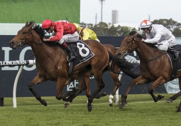 Sneaky Five (Fastnet Rock) wins the Golden Gift at Rosehill