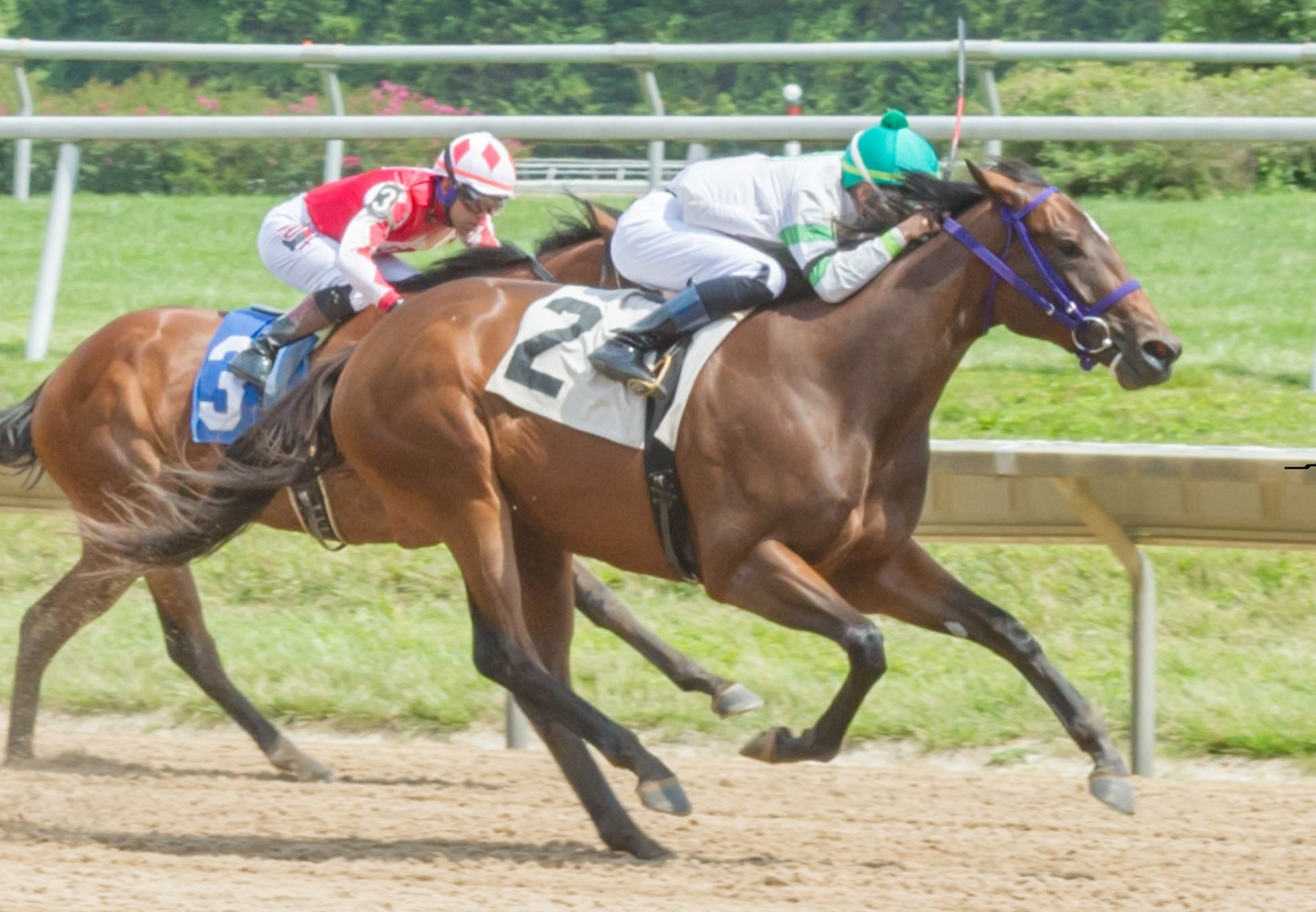 Lanfrankofile (Practical Joke) Winning A Msw At Delaware Park