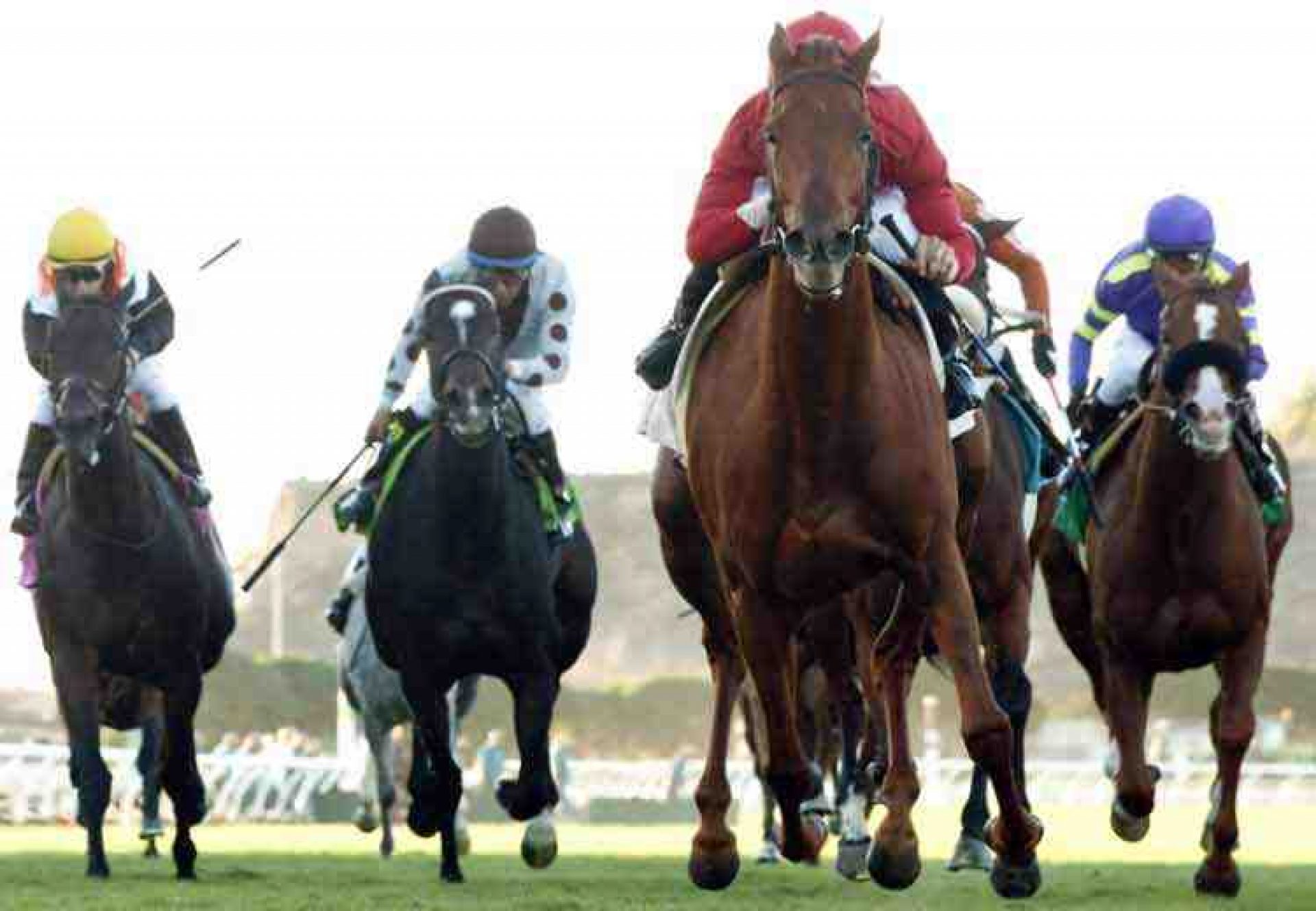 Queen Of The Sand (Footstepsinthesand) winning the Kathryn Crosby Stakes at Del Mar