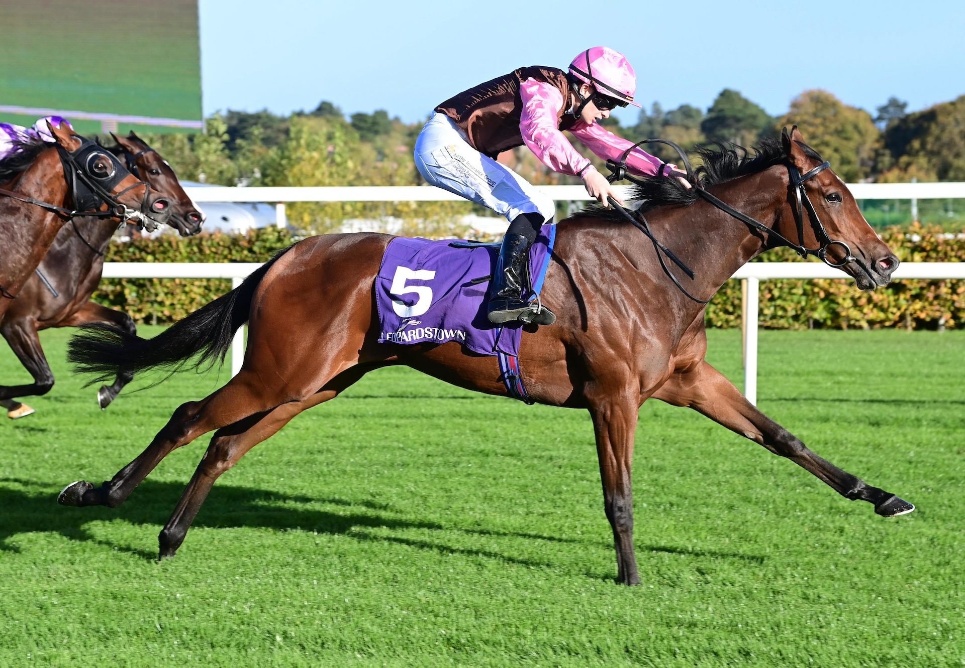 Sigh No More (Starspangledbanner) Wins The Group 3 Eyrefield Stakes At Leopardstown