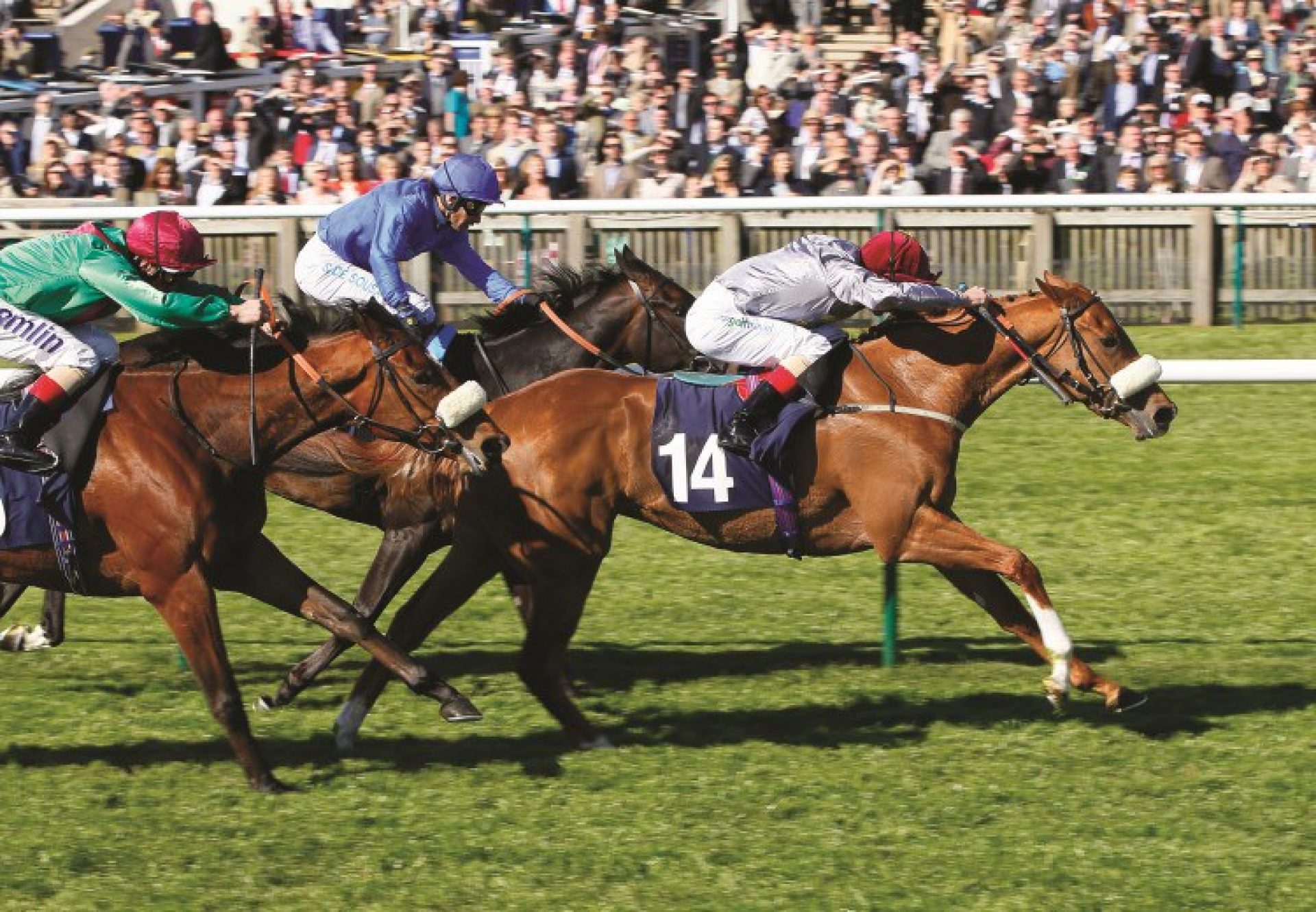 Sandiva (Footstepsinthesand) winning the G3 Nell Gwyn Stakes at Newmarket