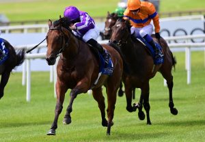 Shoot First (Westerner) Wins The Betfair Stayers’ Handicap Hurdle At Haydock