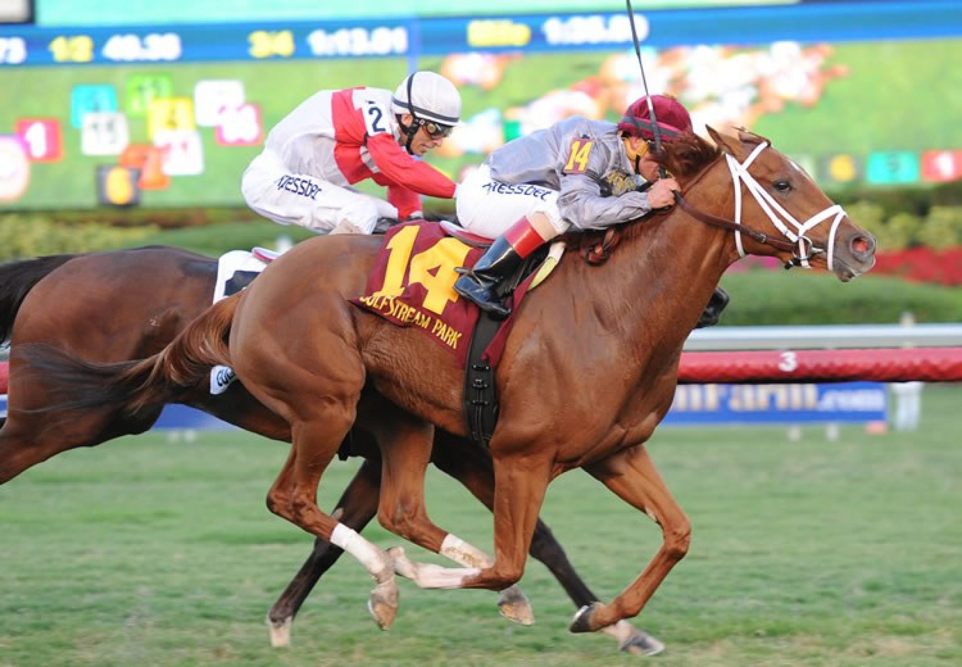 Sandiva (Footstepsinthesand) winning the Tropical Park Oaks at Gulfstream Park