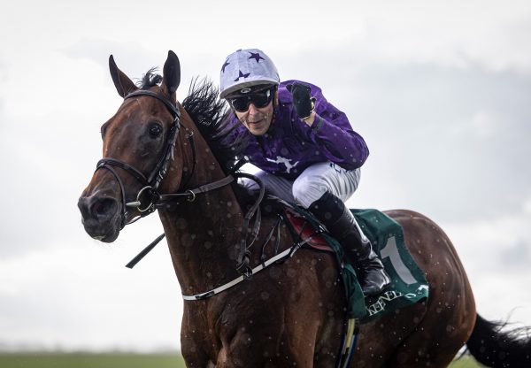 Sommesky (Soldier Of Fortune) Wins A Bumper On Debut At Limerick