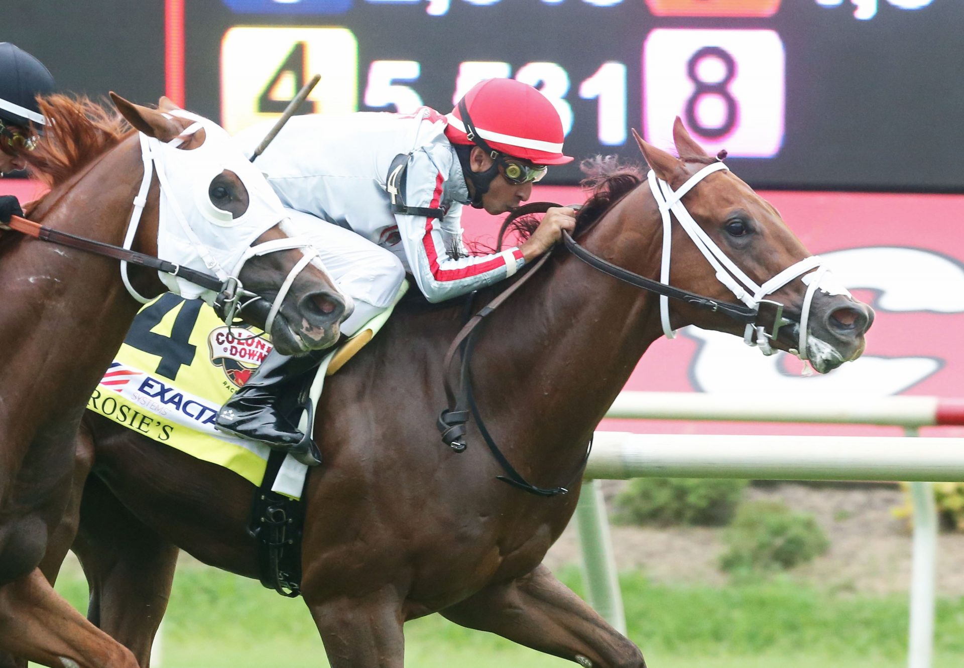 Trust Our Journey (American Pharoah) Wins The Rosies Stakes at Colonial Downs