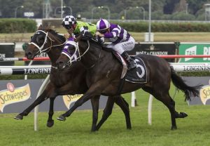 Quick Thinker (So You Think) wins the Gr.1 Australian Derby at Randwick