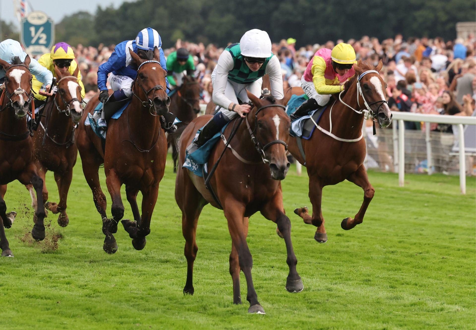 Midnight Mile (No Nay Never) Wins The Listed Lyric Fillies’ Stakes At York